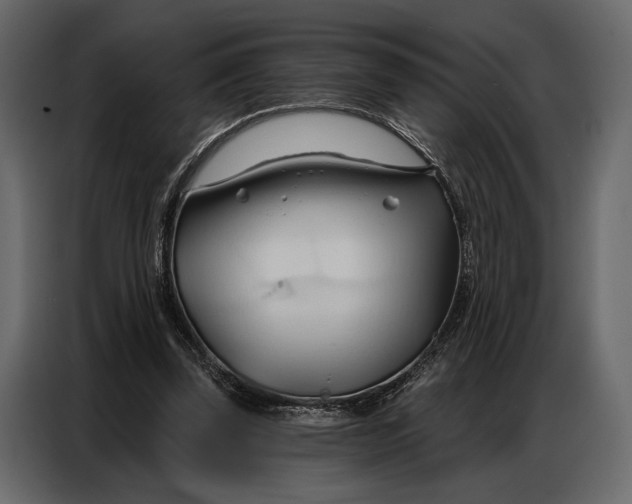 X0000086880347200705071206