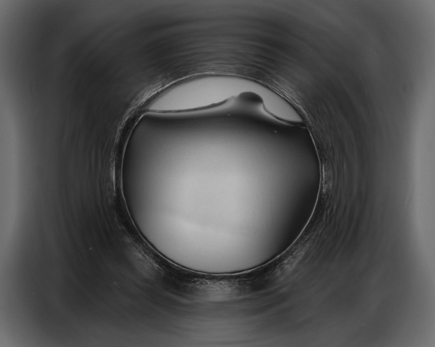 X0000086880349200705071207