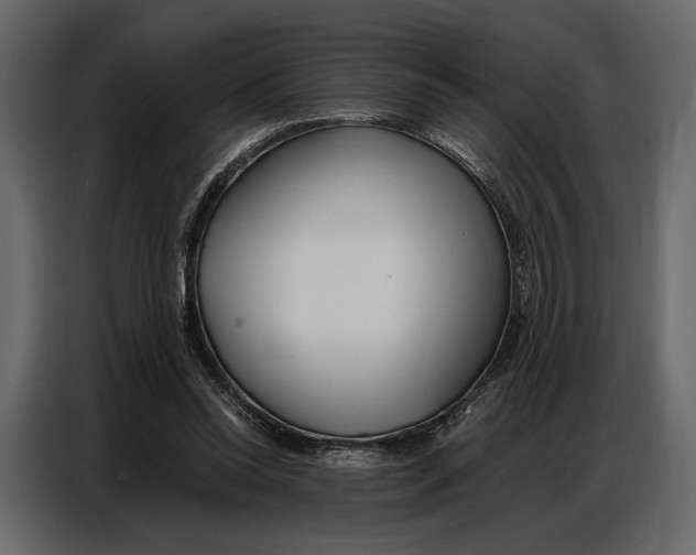 X0000086880350200705071207