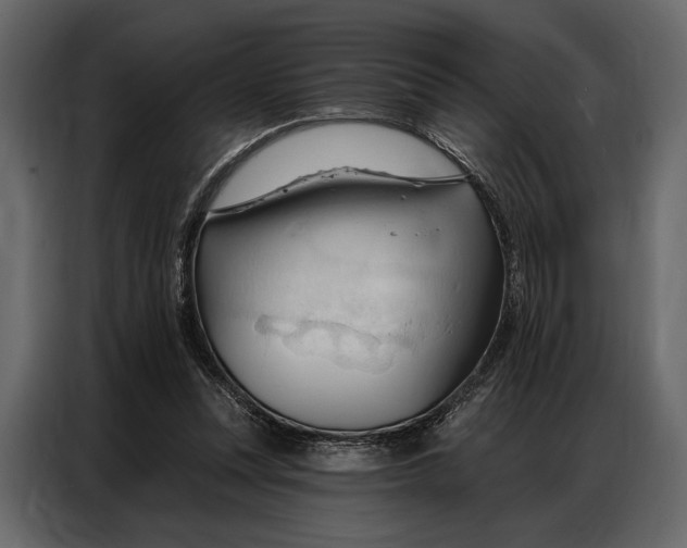 X0000086880351200705071207