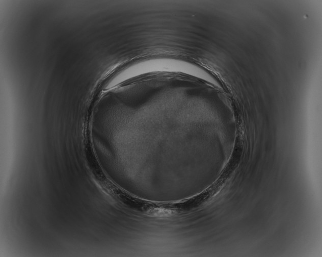 X0000086880352200705071207