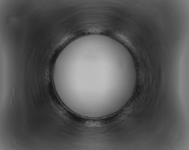 X0000086880354200705071207