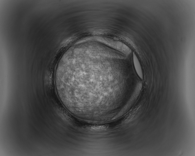 X0000086880357200705071207