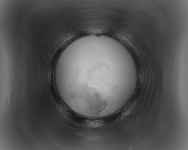 X0000086880359200705071207