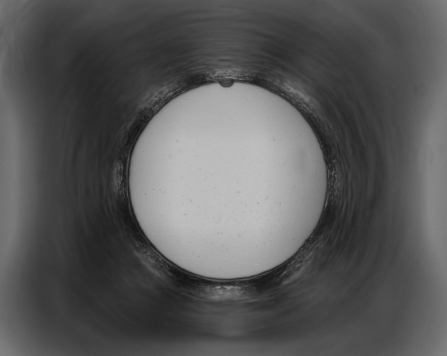 X0000086880361200705071207