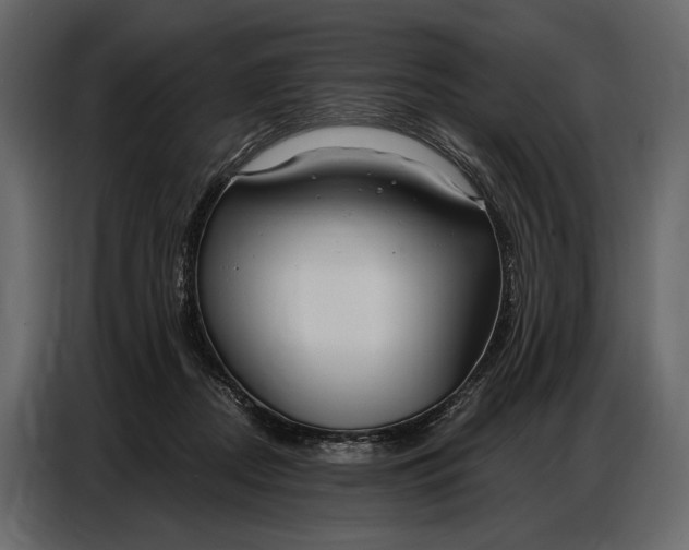 X0000086880362200705071207