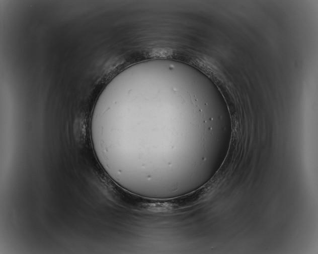 X0000086880363200705071207