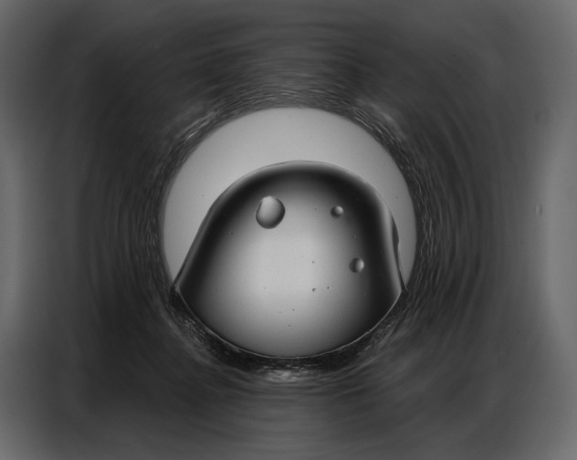 X0000086880364200705071207