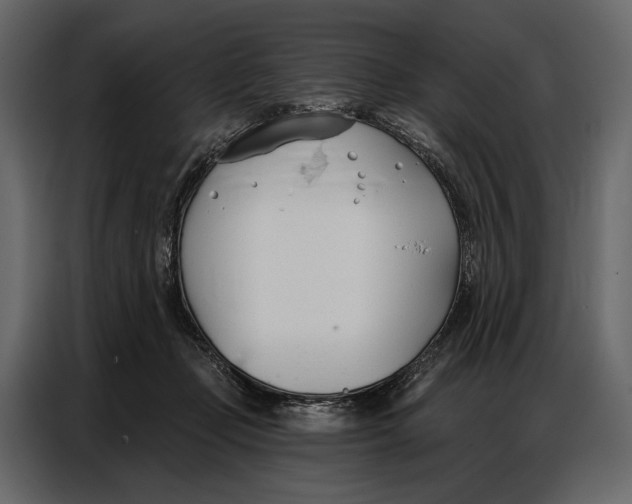 X0000086880365200705071207