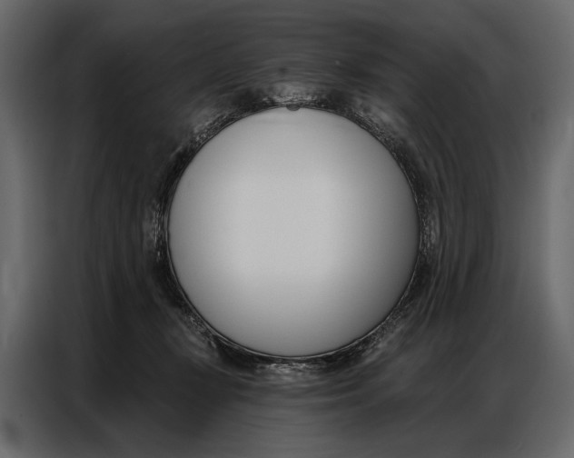 X0000086880367200705071207