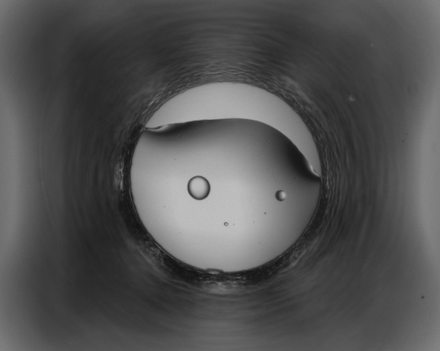 X0000086880368200705071207