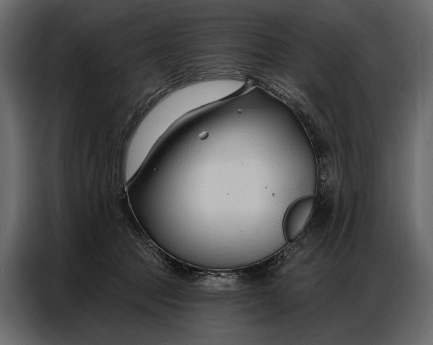 X0000086880369200705071207