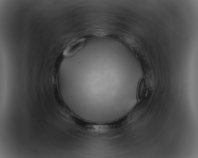 X0000086880371200705071207