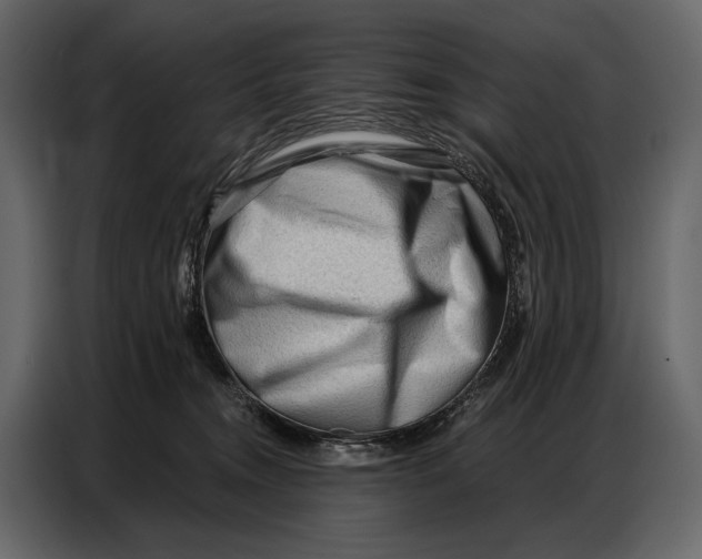 X0000086880372200705071207