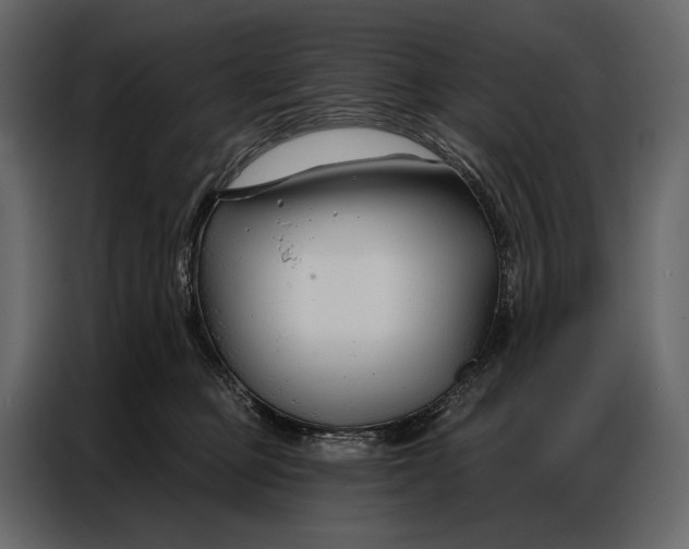 X0000086880373200705071207