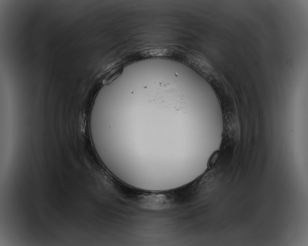 X0000086880374200705071207