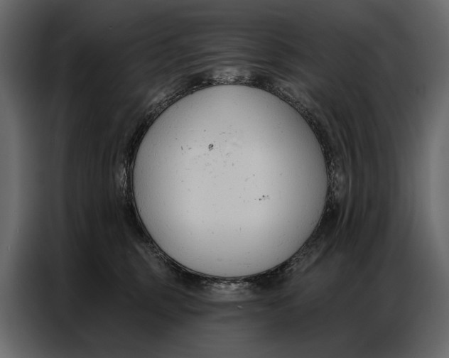 X0000086880375200705071207