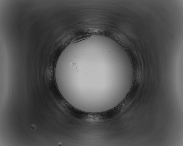 X0000086880376200705071207