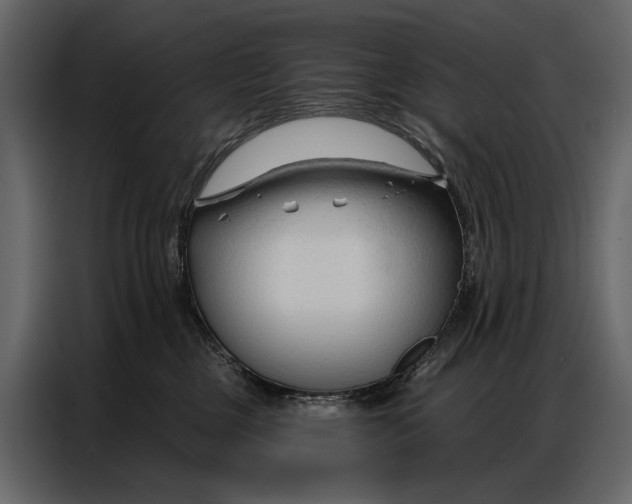 X0000086880377200705071207