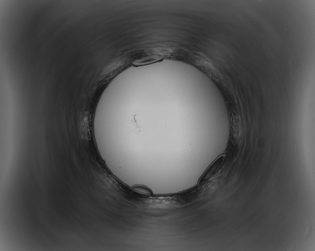 X0000086880378200705071207