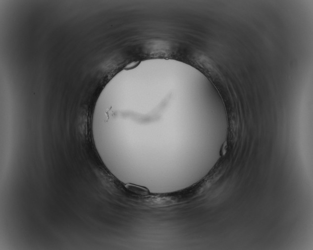 X0000086880379200705071207