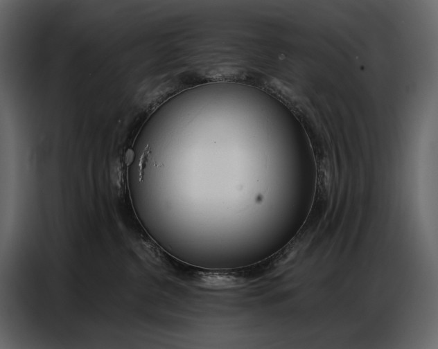 X0000086880380200705071207