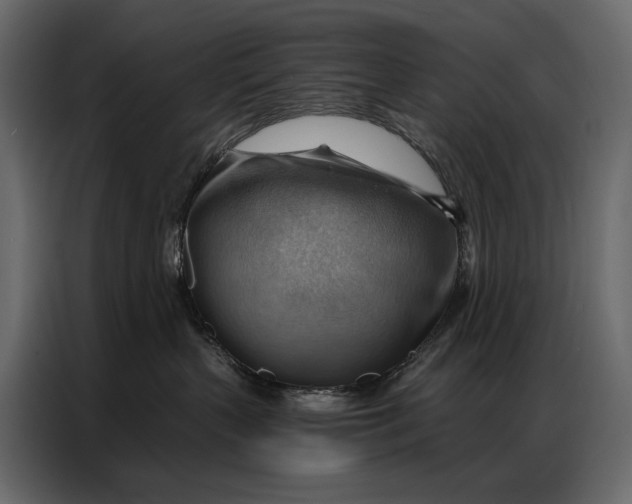 X0000086880383200705071207