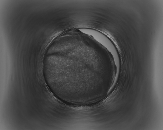 X0000086880385200705071206