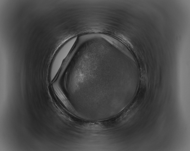 X0000086880386200705071206