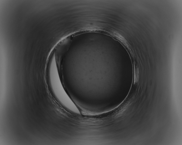 X0000086880387200705071206