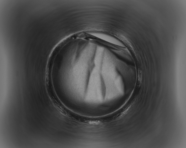 X0000086880388200705071206