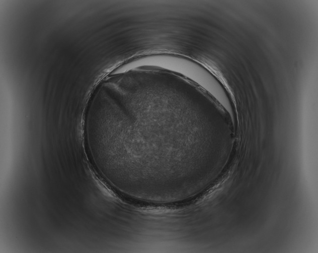 X0000086880389200705071206