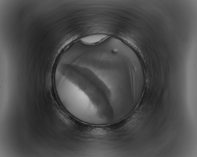 X0000086880390200705071206