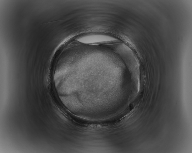 X0000086880392200705071206