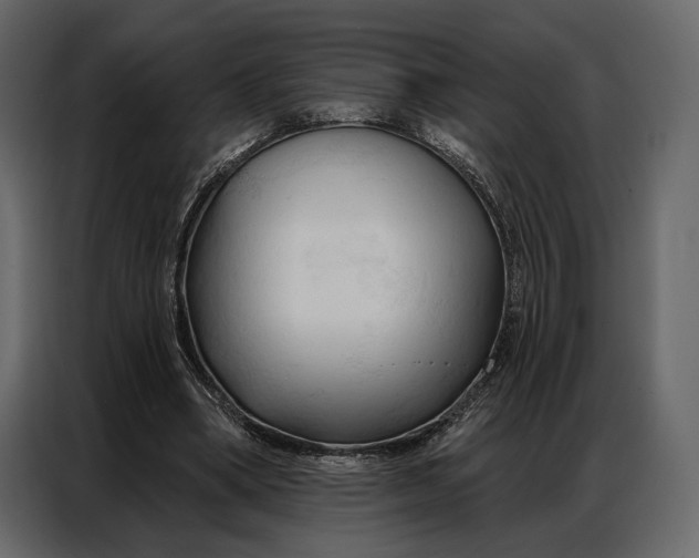 X0000086880394200705071206