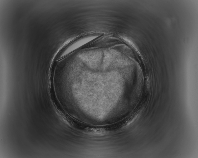 X0000086880395200705071206