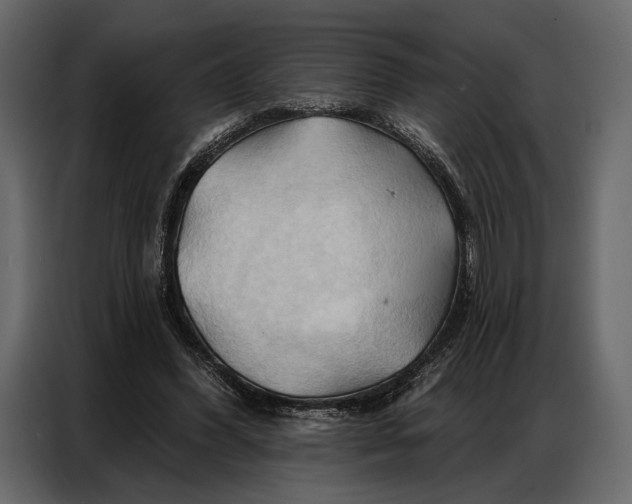 X0000086880396200705071206