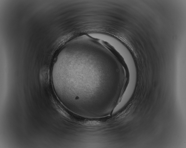 X0000086880397200705071206