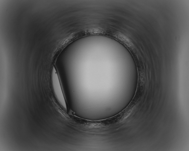 X0000086880401200705071206