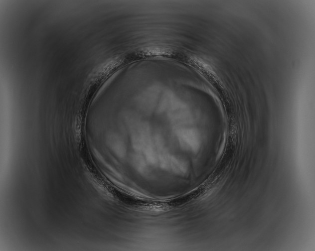 X0000086880402200705071206