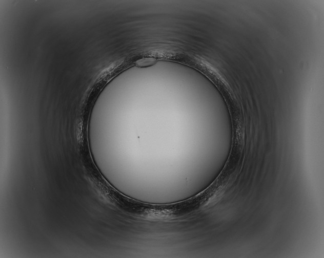 X0000086880403200705071206