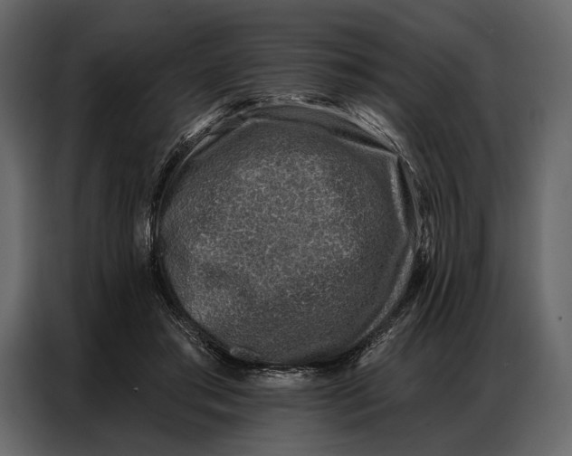 X0000086880405200705071206