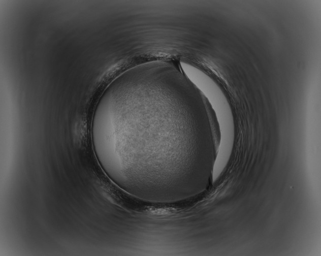 X0000086880407200705071206