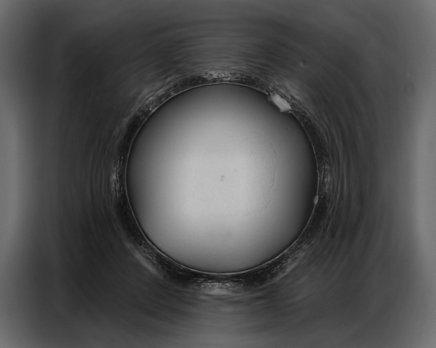 X0000086880408200705071206