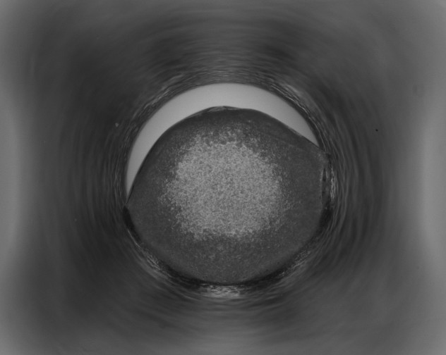 X0000086880409200705071206