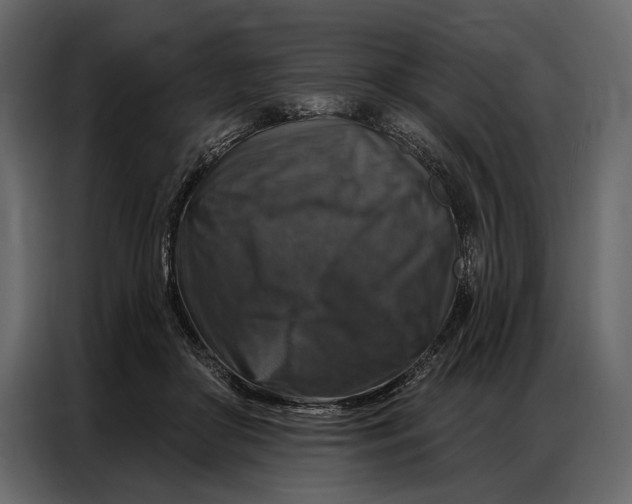 X0000086880410200705071206