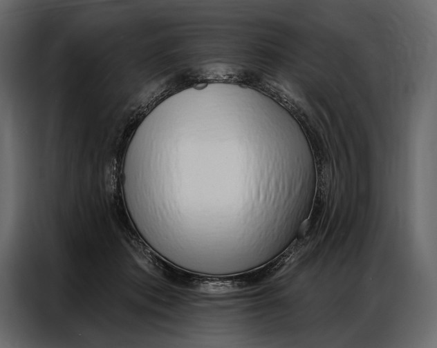 X0000086880413200705071206