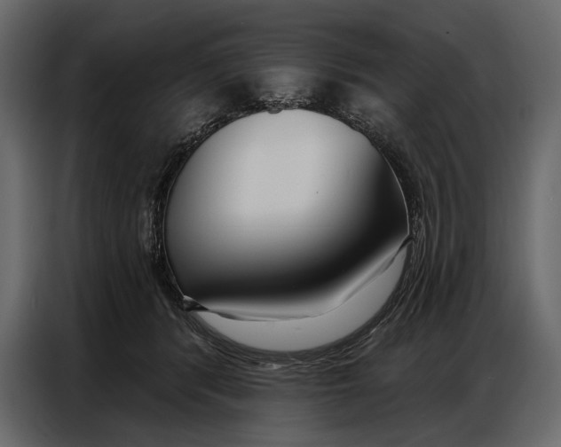 X0000086880416200705071206