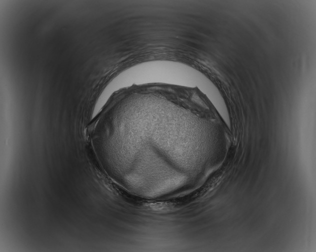 X0000086880417200705071206