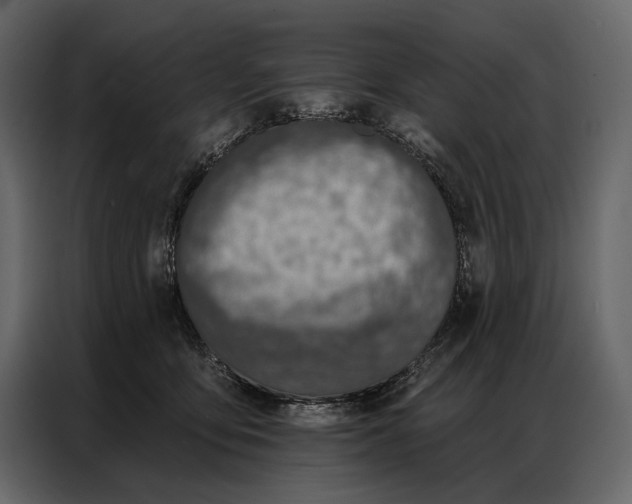 X0000086880419200705071206